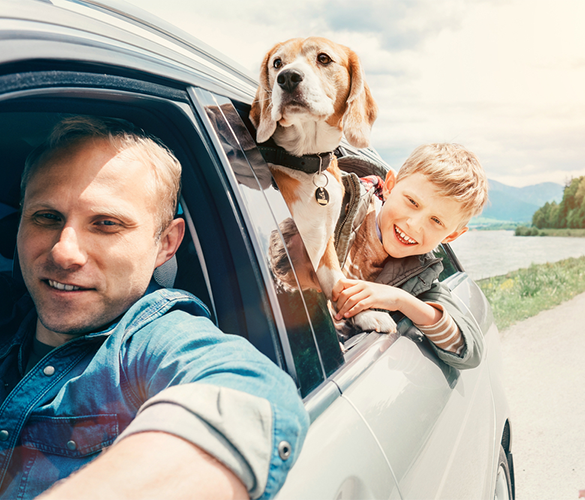 Louisiana Auto Owners with Auto Insurance Coverage