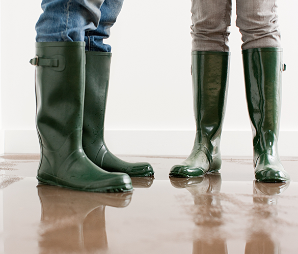 Louisiana Flood Insurance Insurance Coverage