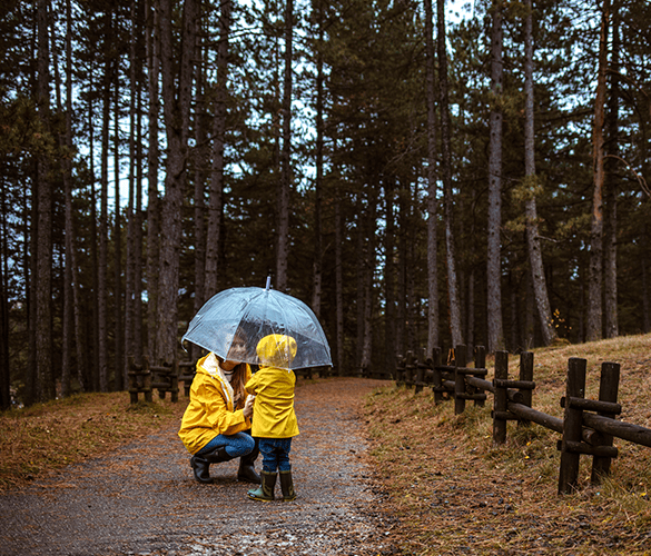 Louisiana Umbrella Insurance Insurance Coverage